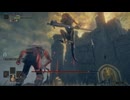 【番外編・ボツ】二人で操作を分けてエルデンリング#14.5