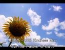 Natsuki Tokura feat. 初音ミク - 夏陽炎 -2008 Kindness Mix-