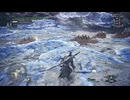 【MHW:IceBorne】#169