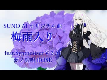 【新品未開封】VoiSona 雨衣 数量限定版 rectangle_large_type_2_0f9a508