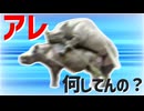 Anything 交尾！