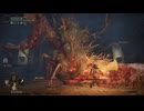 【番外編・ボツ】二人で操作を分けてエルデンリング#16.5.1
