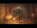 【番外編・ボツ】二人で操作を分けてエルデンリング#16.5.2