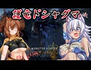 スラアク使いの狼ちゃんとカミンズが駆け抜ける！ワイルズPart14【MHWilds】
