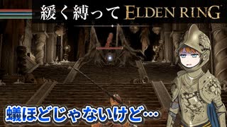 ゆるく縛ってエルデンリングpart39【DLC初見編】