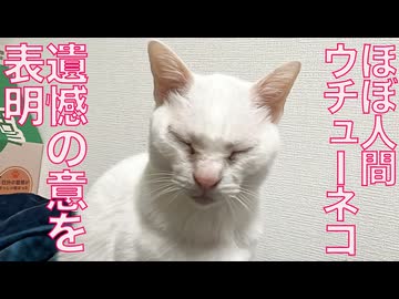 ほぼ人間ウチューネコ、スネ方も人間に寄せる