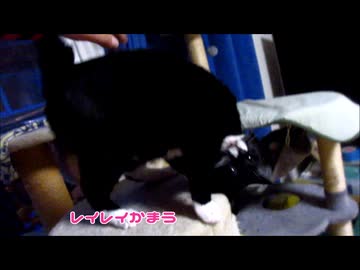 休日