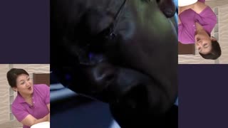 9番地