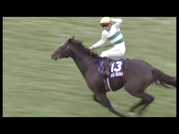 ソウルラッシュの進化の歴史