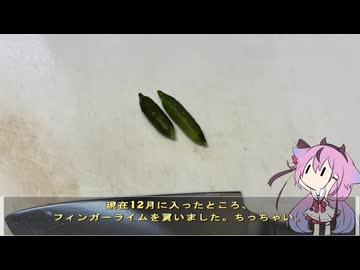 珍食材が食べたい！#218 フィンガーライム