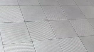スタバ新作！オリエンタルマンゴー&ティーフラペチーノが好き
