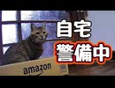 警備しているようですが…【野良猫】