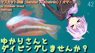 【Bandar Al Khairan(オマーン)】ゆかりさんとダイビングしませんか？