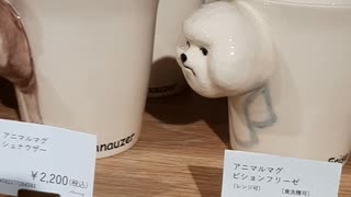 雑貨店で発見？可愛いカップ｜小渡和久
