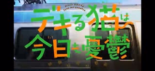 デキる猫は今日も憂鬱