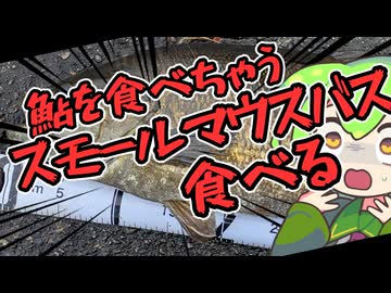 お腹がすいたらバス大会で釣ればいいじゃない
