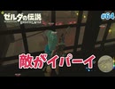 【ゼルダの伝説BotW】初めてのブレワイ！折れない心で未知の世界へ！#64【実況】