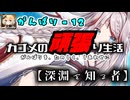 【千年戦争アイギス】カゴメの頑張り生活 - 1２【深淵を知る者】