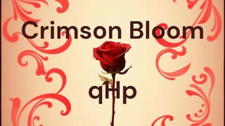 Crimson Bloom / qHp(Symmetry)