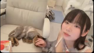 【のあちゃん】色が白くてナイスボディーでカワイイ女性□　ニコおじさんたちは元、あーちゃんの方がなじみあるかもですね　サマーカットした猫ちゃんと一緒にマスク無しで映ってます❤️【ニコ生】