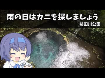 雨の日はカニを探しましょう