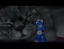 【VRC】のんびり雑談配信