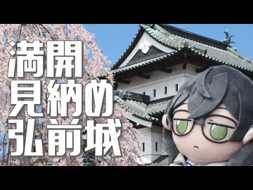 満開 見納め 弘前城【第二回パークアンドライド旅行祭】