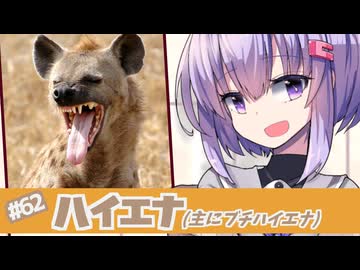 ひとくち動物図鑑#62　ハイエナ　[VOICEROID解説]