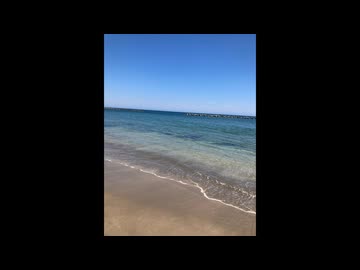 『Blue Shine』 Synthesizer_V feat Saki