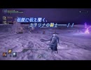 【ELDEN RING NIGHTREIGN】ナイトレイン ラスボスクリア動画