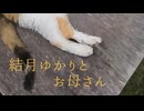 結月ゆかりとお母さん