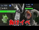 【ポケモンSV】ヘルガーの負けイベント、レベル100なら流石に勝てる説【検証 バグ】20221222