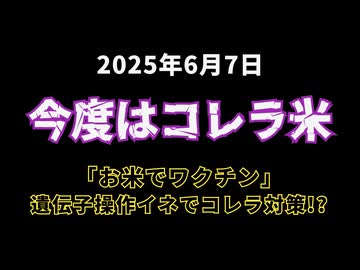 【今度はコレラ米】◆「お米でワクチン」──遺伝子操作イネでコレラ対策？