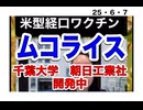 25・6・７　政腐による日本人絶滅計画　ムコライス。