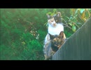 母のサビ猫と並ぶ三毛猫