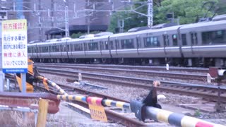 山崎のサントリーカーブに行ってくる