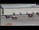 2025年6月7日高知競馬3R ＪＢＣ協会協賛高知佐賀スタリオンシリーズ 瀬戸特別（インディチャンプ賞）(準重賞) メイショウウズマサ
