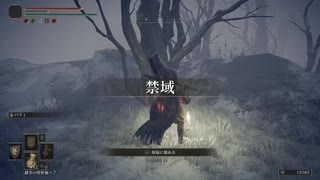 【初見】エルデンリングに挑んでみた【第52話】