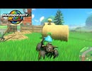 対戦待機時間も癒されるマリカワネット対戦【マリオカートワールド#6】