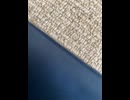 77104080645__5DDE7E1F-2647-4EE0-A8BA-852D95A15AAF