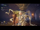 ギャンブルの時間だ！夜の狭間の地を攻略【ELDEN RING NIGHT REIGN】