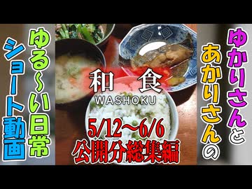 【VOICEROID劇場】ゆかりさんの日常　ショート動画5/12～6/6公開分総集編