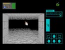 ダンジョンマスター　セロンズクエスト(PCE版)　プレイ動画4(実況無し)