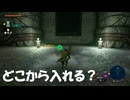 #203【ゼルダの伝説 ティアーズ オブ ザ キングダム】南ローメイ地下層来たんだけどさ、入口どこよこれ！