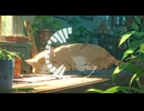 Lo-Fi BGM｜The end of wavering feelings｜揺れる思いの終着