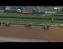 2025 Belmont Stakes Sovereignty