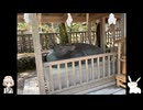 【VOICEVOX】公共交通機関で行くひとり旅【鳥取・島根編 3日目】