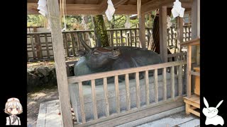 【VOICEVOX】公共交通機関で行くひとり旅【鳥取・島根編 3日目】