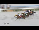 2025年6月8日金沢競馬8R 宮西令奈さん誕生日記念２０２５(B2-六) ドンリュウスター