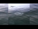 『ACE COMBAT 3D CROSS RUMBLE』ED「Like a Phoenix Rising」Full  [WAV 192kHz/32bit]【最高音質】576kbps対応版 高域補完あり